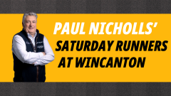 Betfair ambassador Paul Nicholls runners preview